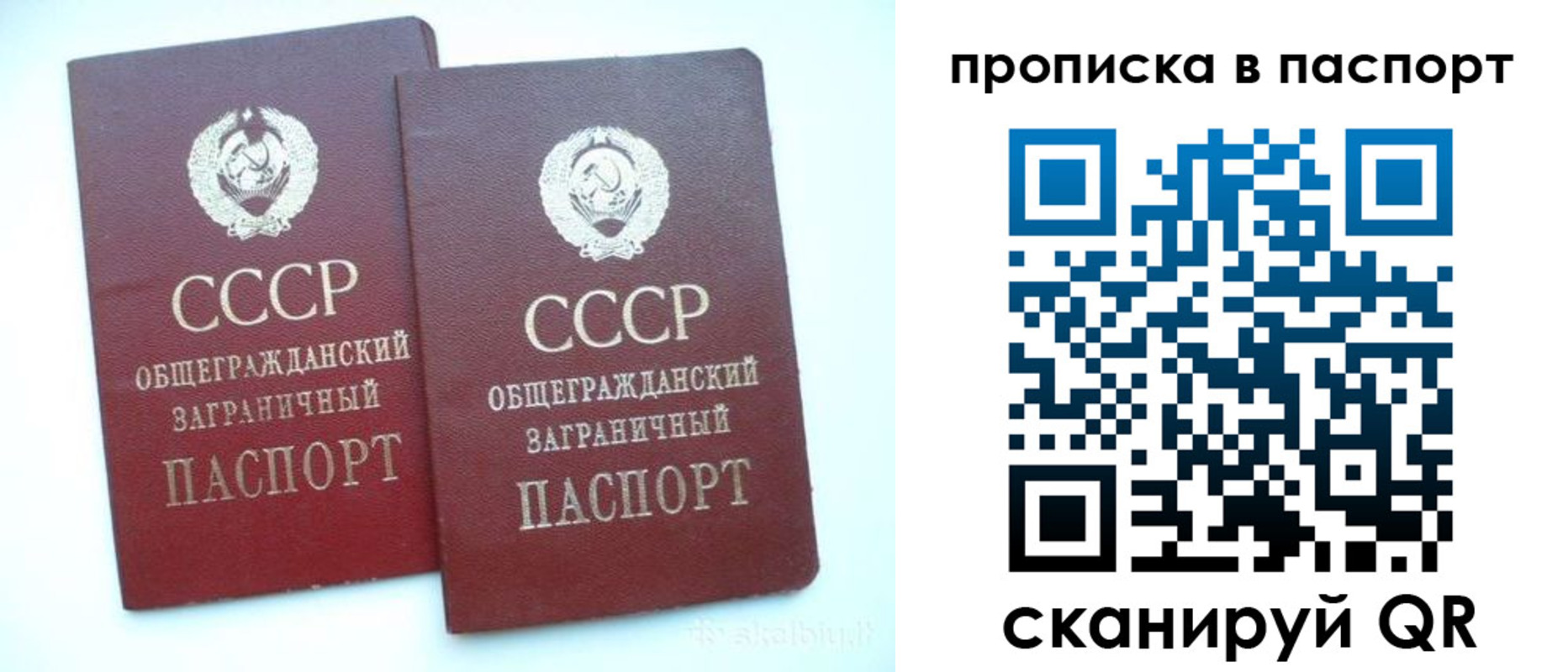 прописка законно в Краснознаменске